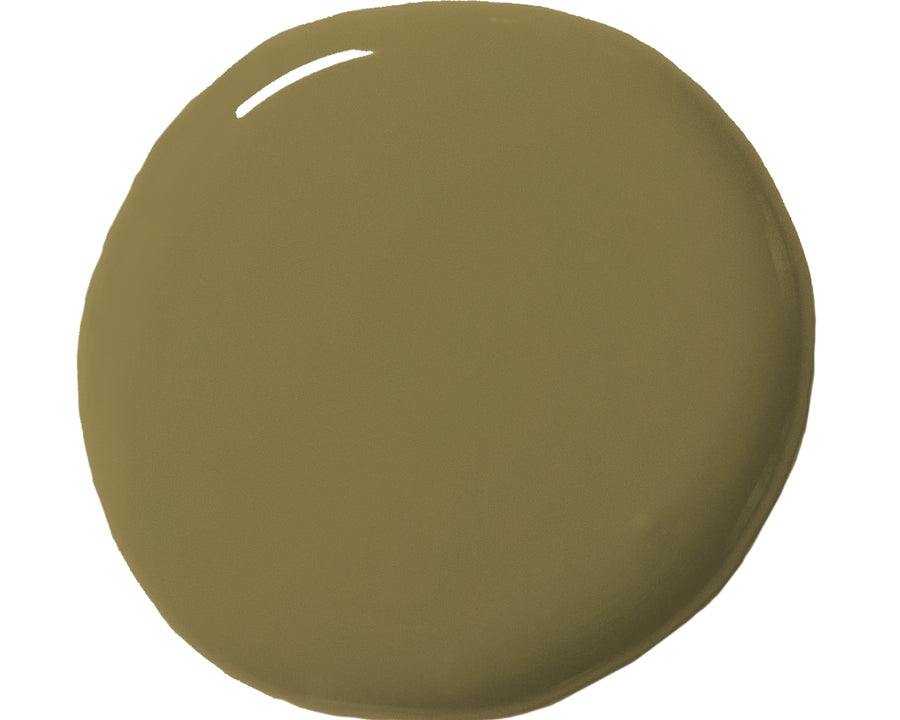 Annie Sloan Olive Wall Paint