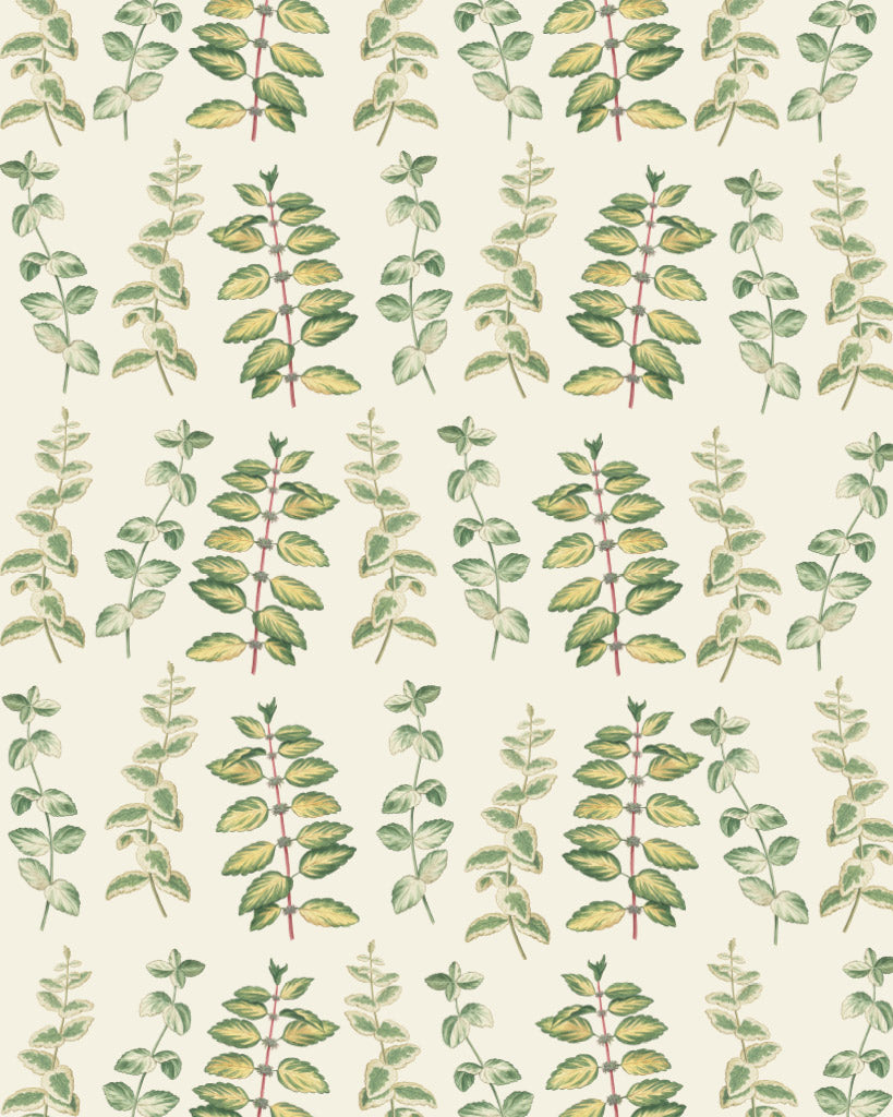 RHS Decoupage Paper Mint