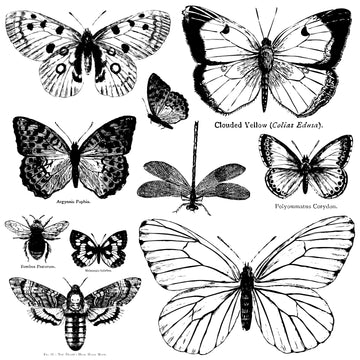 Butterflies IOD Decor Stamp™