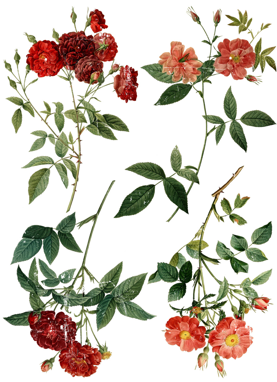 Redoute 4 24×33 Decor Transfer™