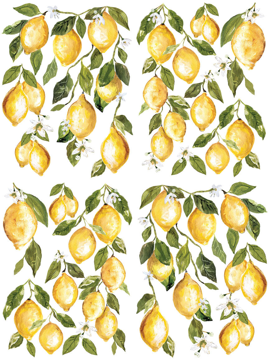 12” x 16” Full color bound with 4 pages   The Lemon Drops decor transfers are the newest generation of Iron Orchid Designs decor transfer. The new book of transfer pages is unlike anything before! You will receive the book with twice as much area of rub on transfer art than our tubes.   The new style lets your creativity build layer upon layer of beautifully curated art.  Lemon Drops is a favorite. The new layout will give you more lemons per pack than previous versions It's an artist's dream. 