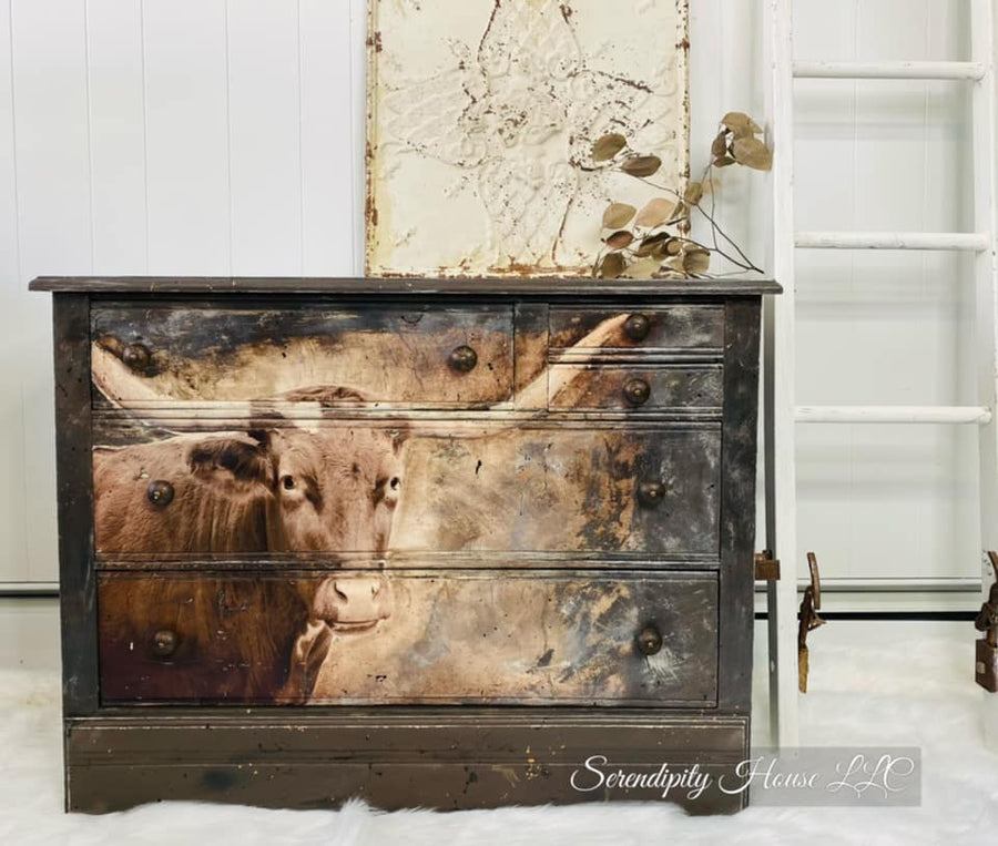 Texas Longhorn decoupage paper